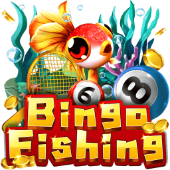 Bingo Fishing on Fairplay Login