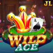 Wild Ace on Fairplay Login
